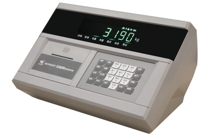 DS-10耀华仪表